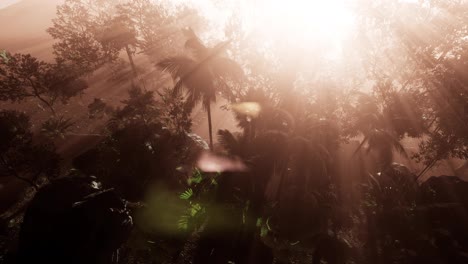 Incredible-tropical-green-forest-view-with-sun-flare-in-morning.